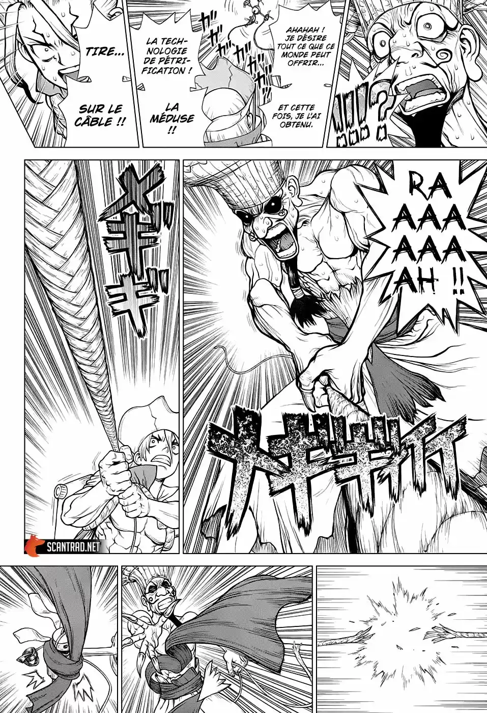 Read Dr. Stone FR Manga Online