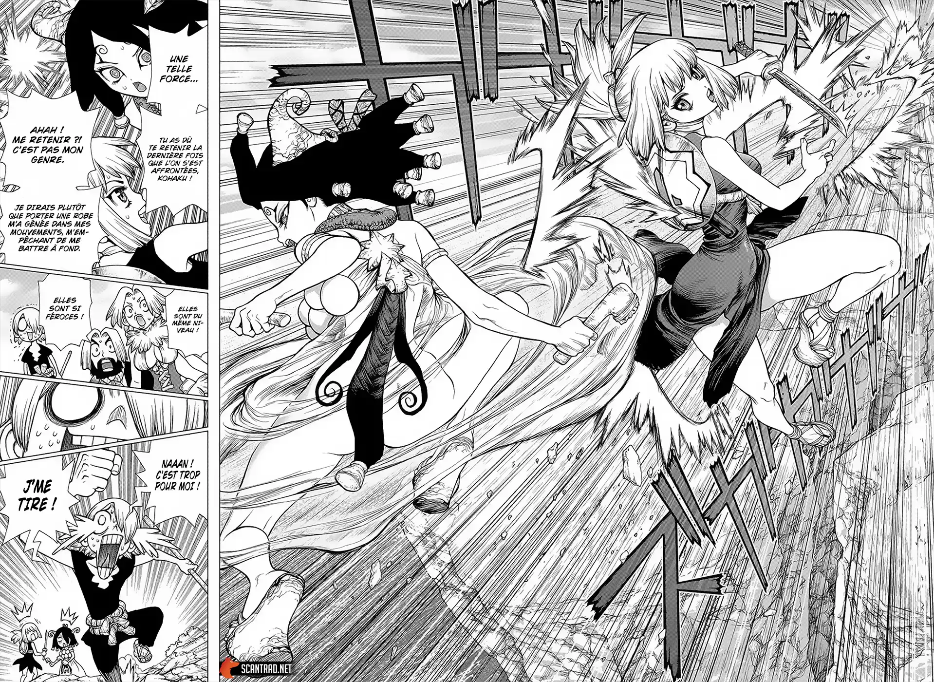 Read Dr. Stone FR Manga Online