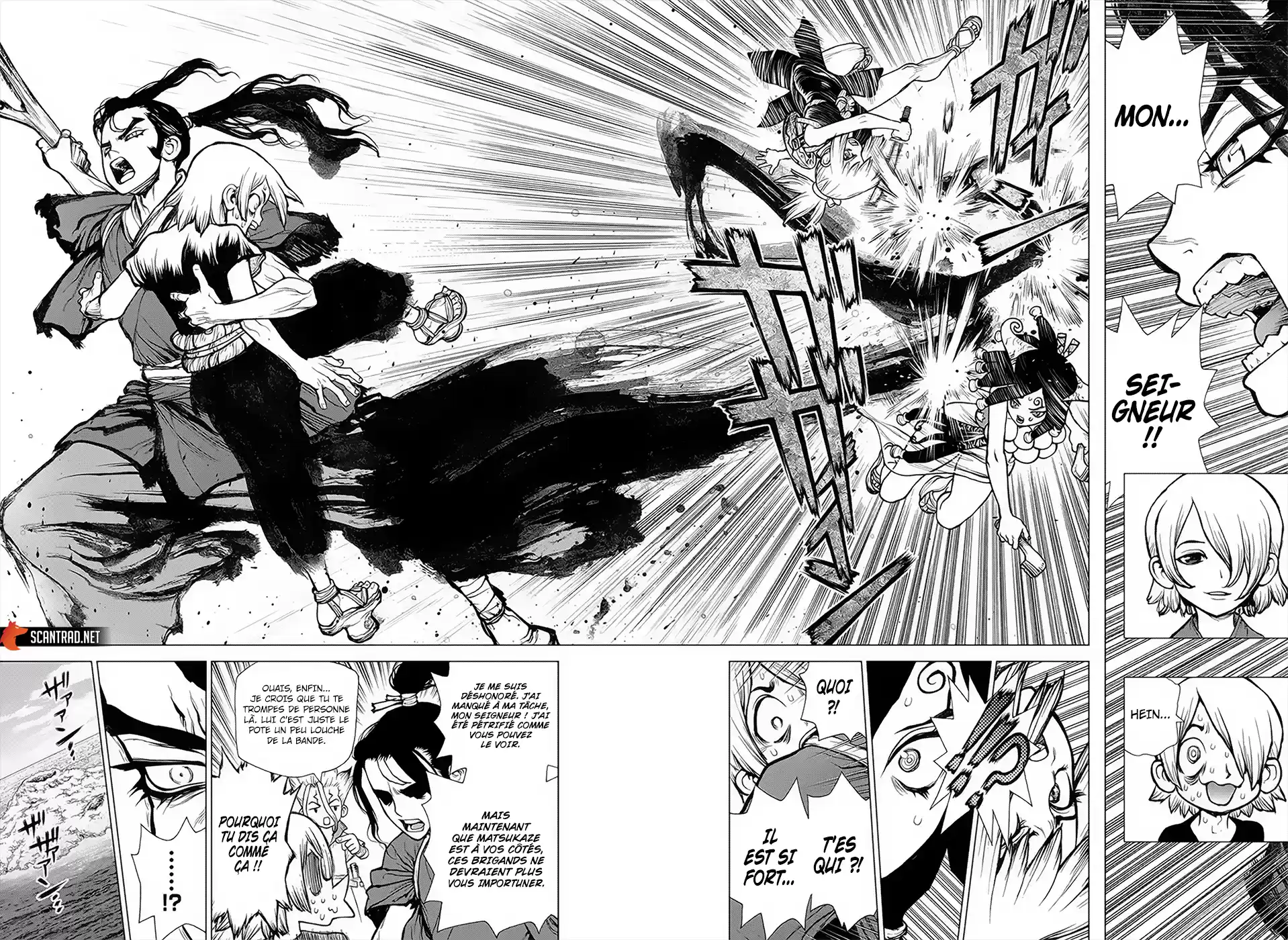 Read Dr. Stone FR Manga Online