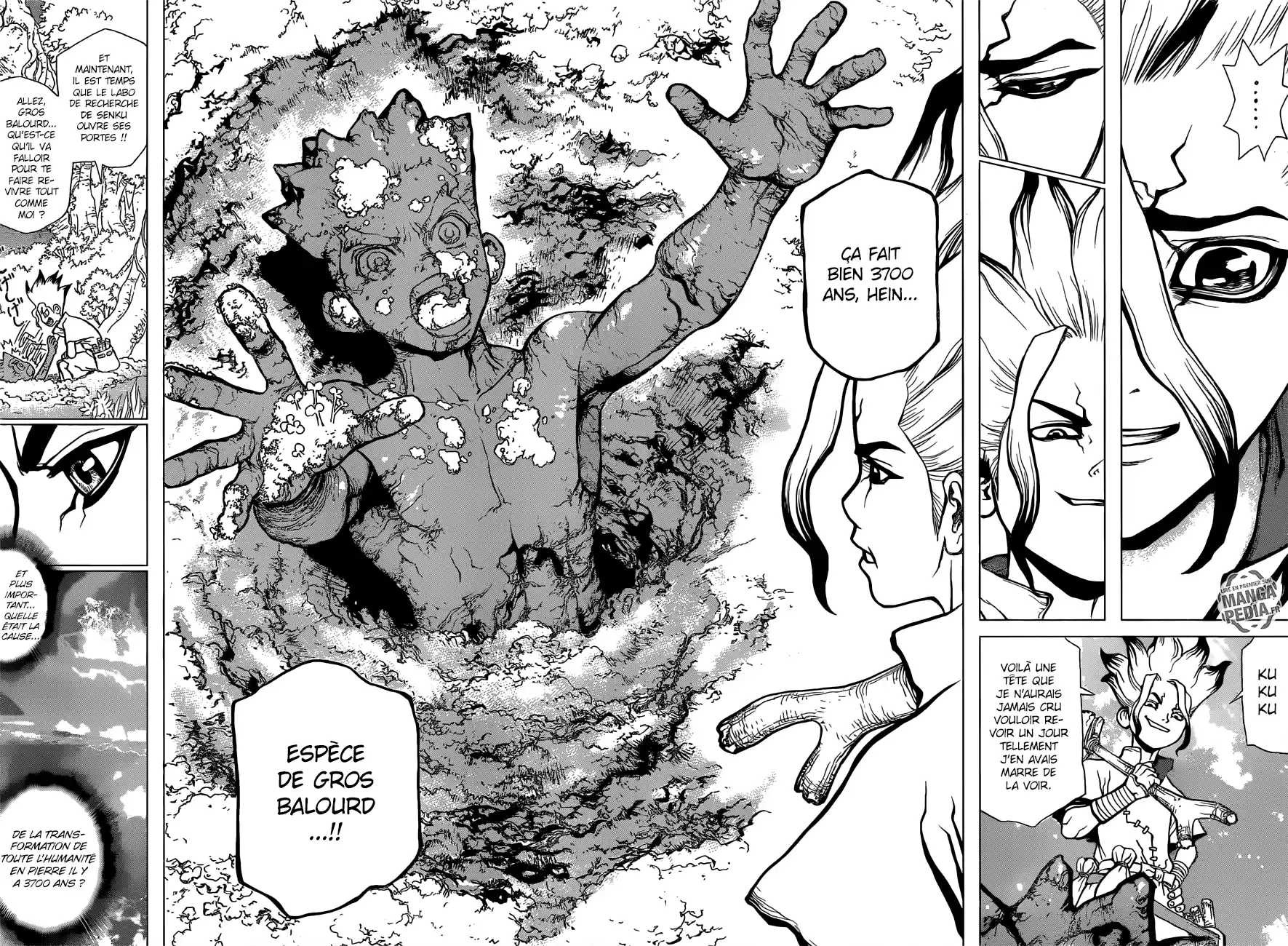 Read Dr. Stone FR Manga Online