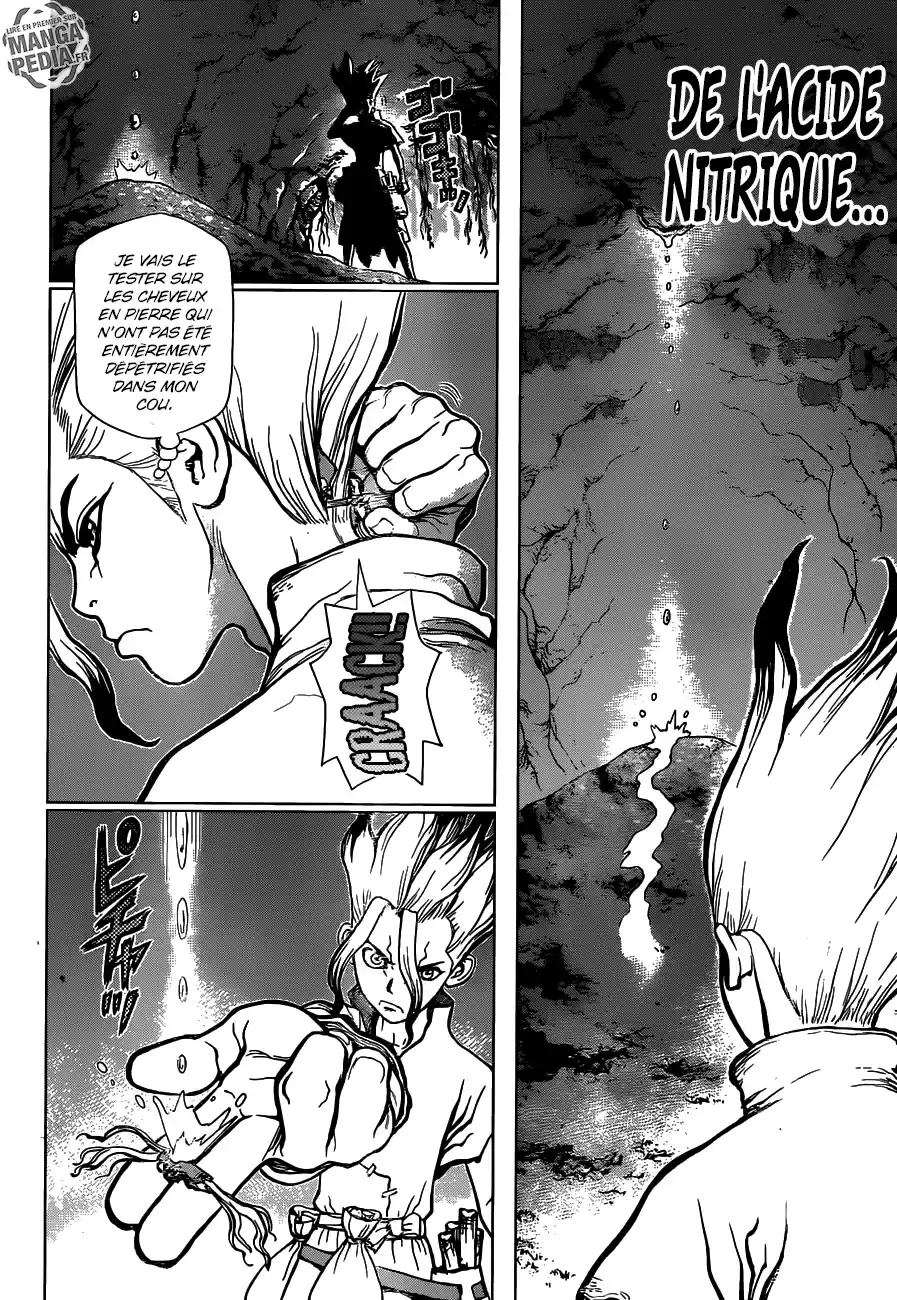 Read Dr. Stone FR Manga Online