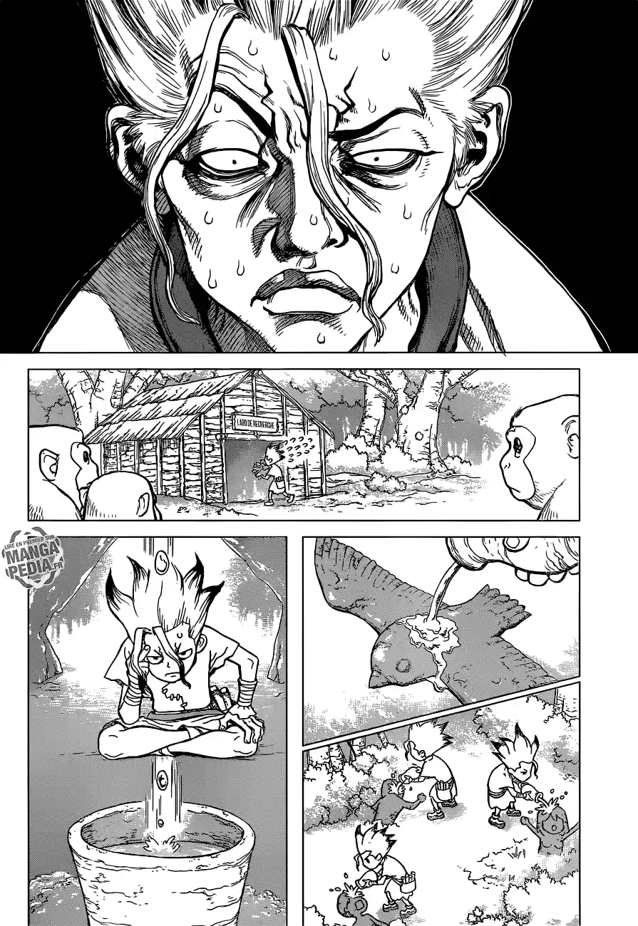 Read Dr. Stone FR Manga Online