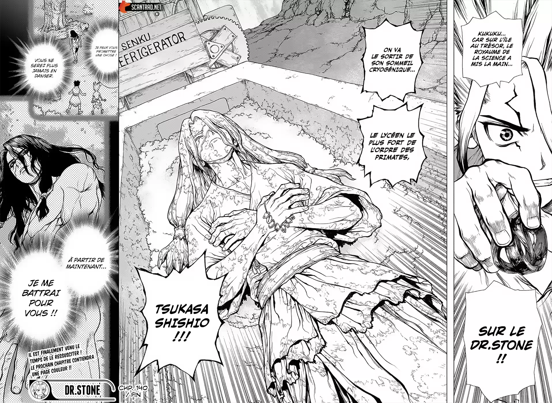 Read Dr. Stone FR Manga Online