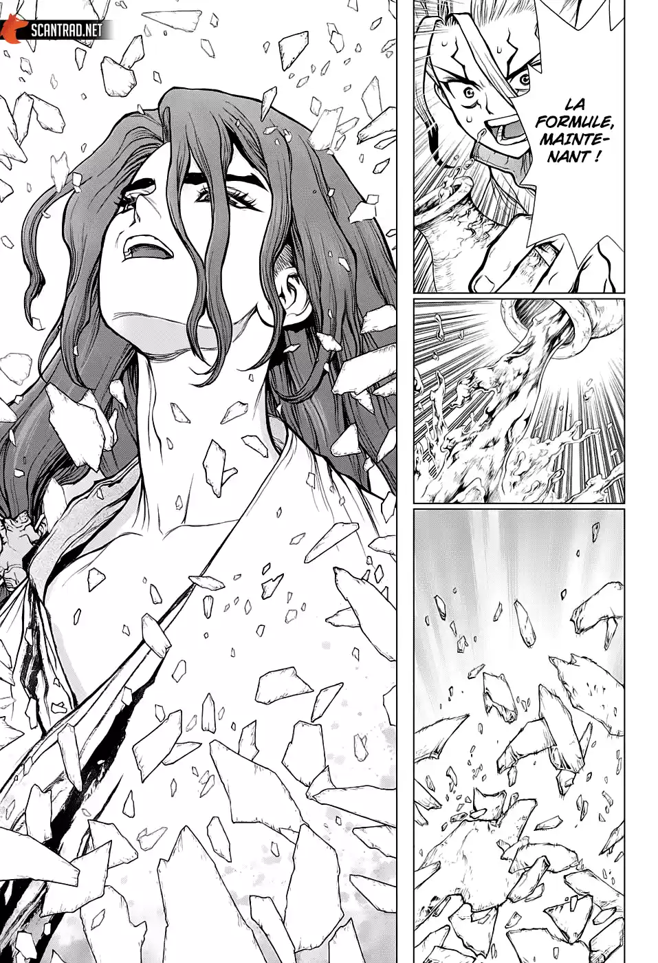 Read Dr. Stone FR Manga Online