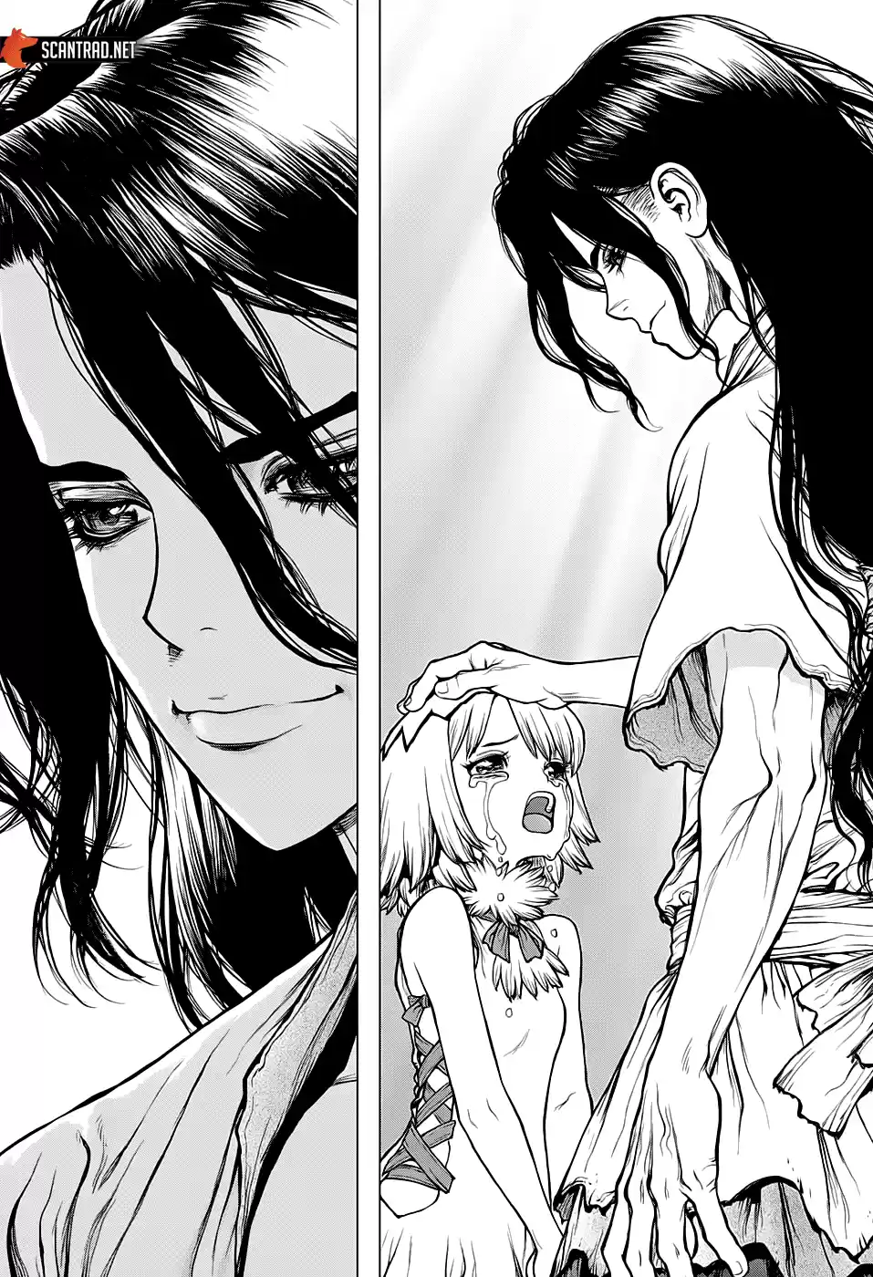 Read Dr. Stone FR Manga Online