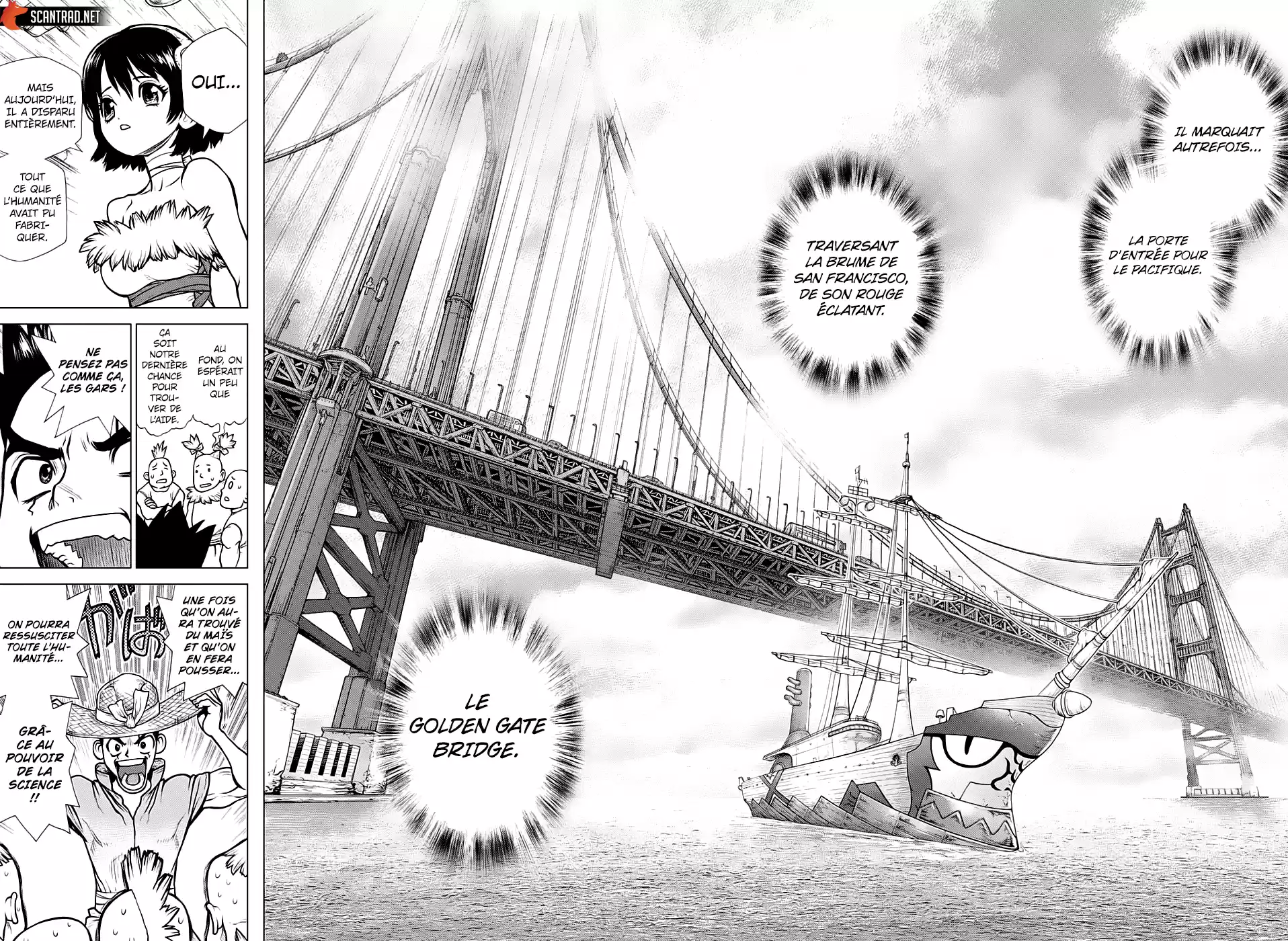 Read Dr. Stone FR Manga Online