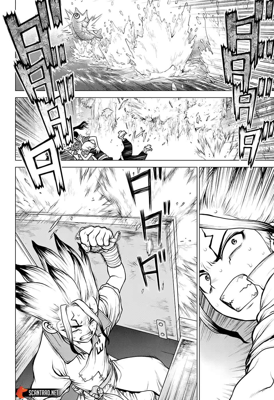 Read Dr. Stone FR Manga Online