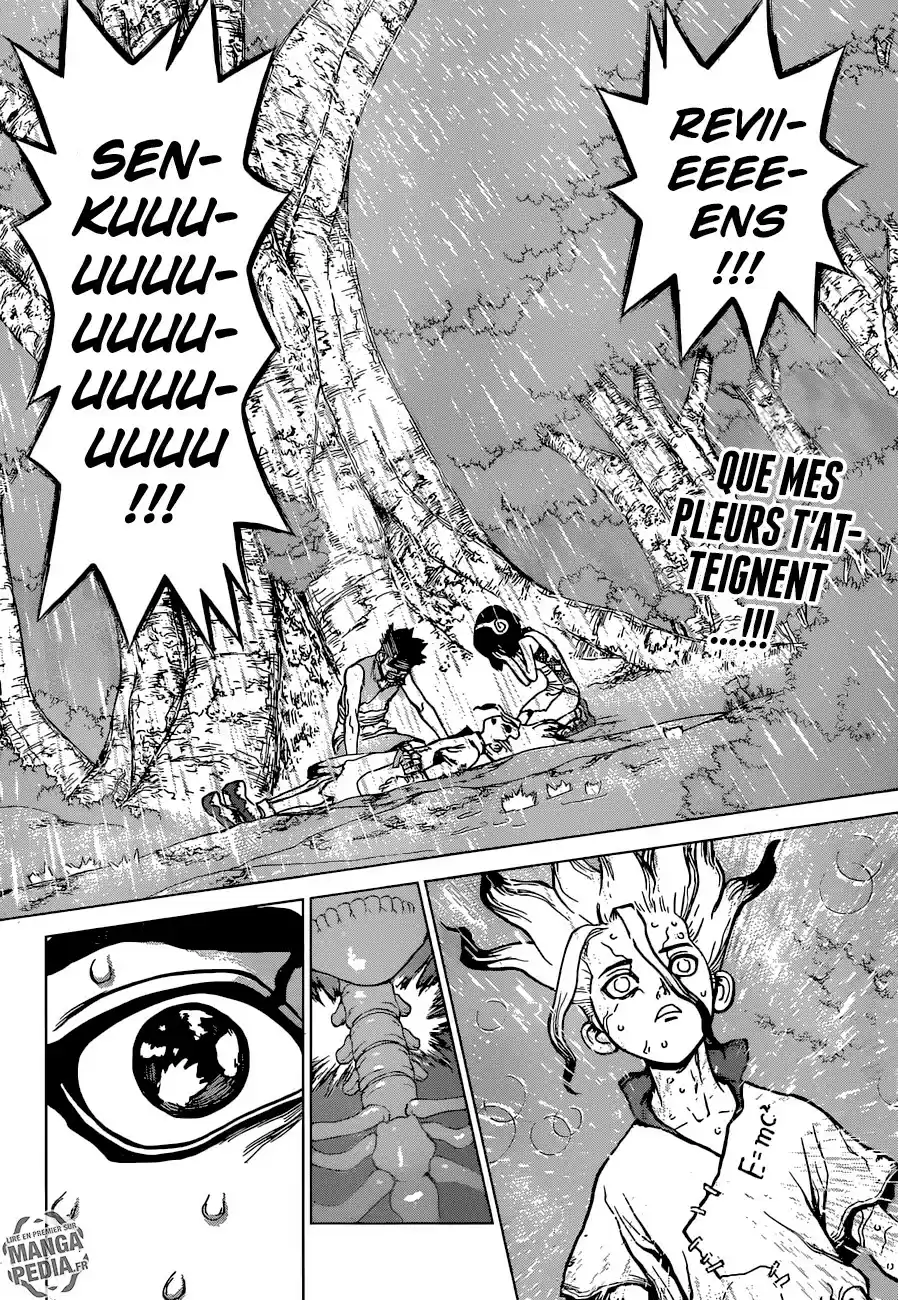Read Dr. Stone FR Manga Online