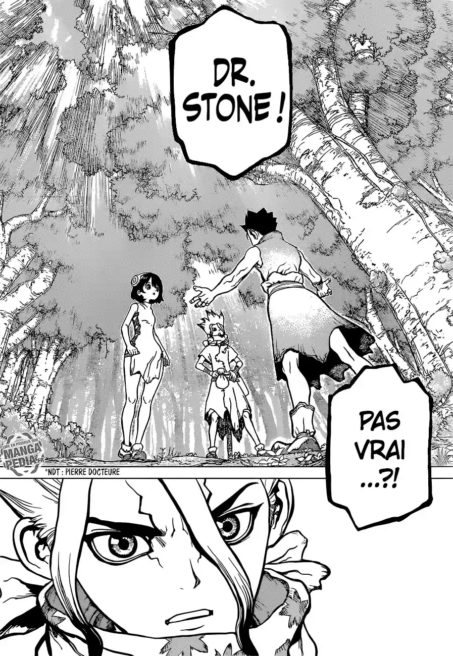 Read Dr. Stone FR Manga Online
