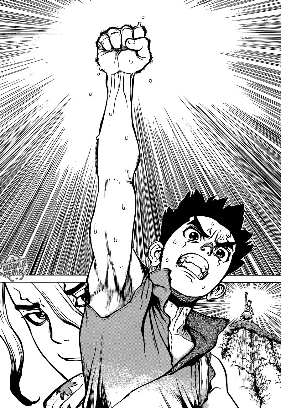 Read Dr. Stone FR Manga Online