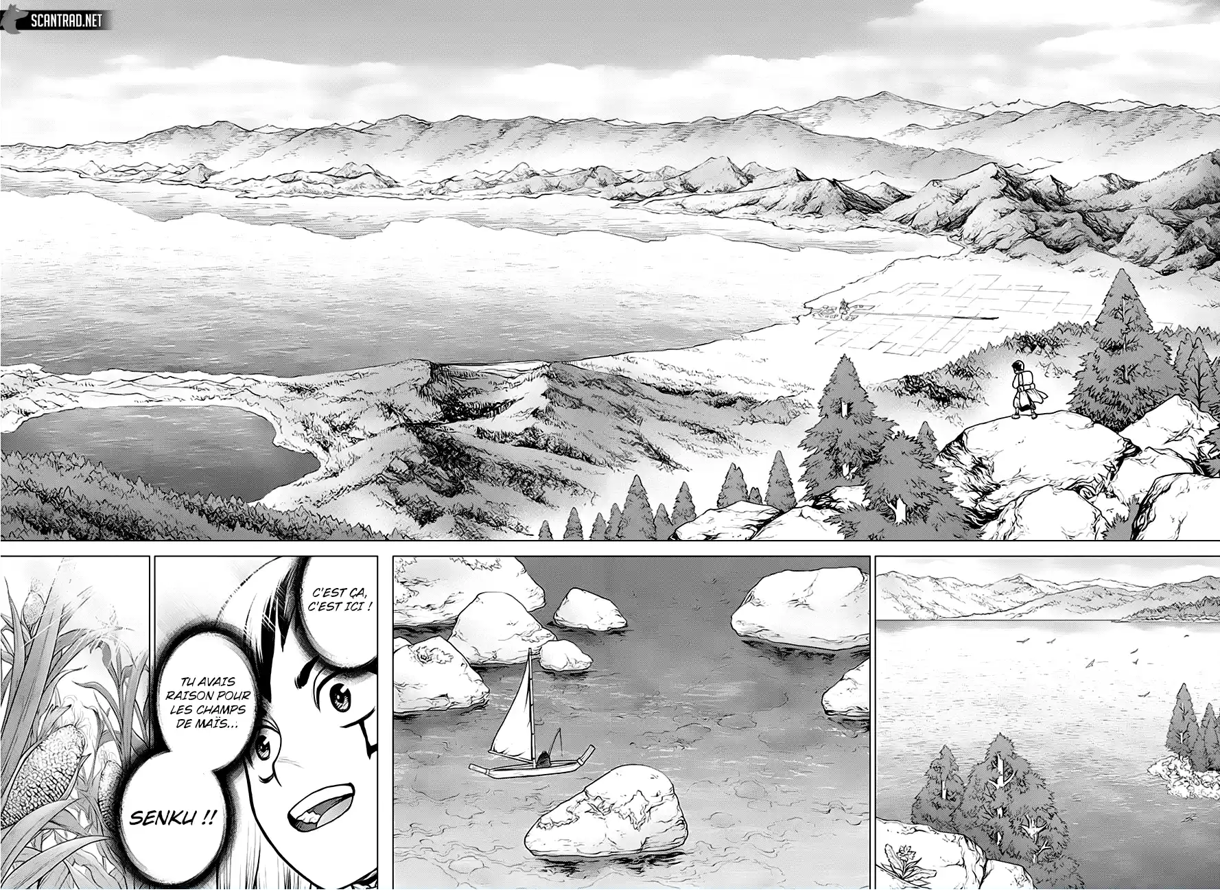 Read Dr. Stone FR Manga Online