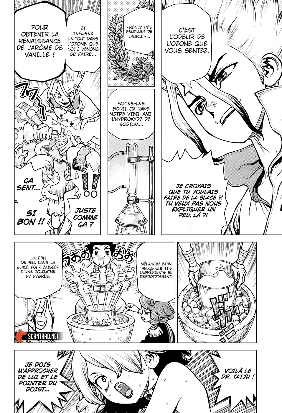 Read Dr. Stone FR Manga Online