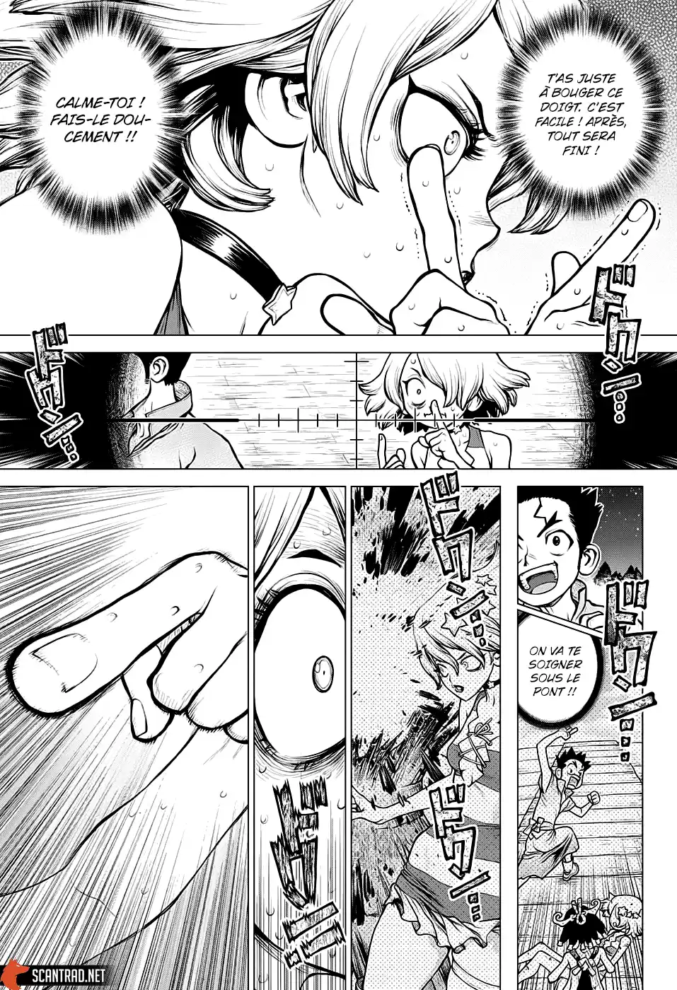 Read Dr. Stone FR Manga Online