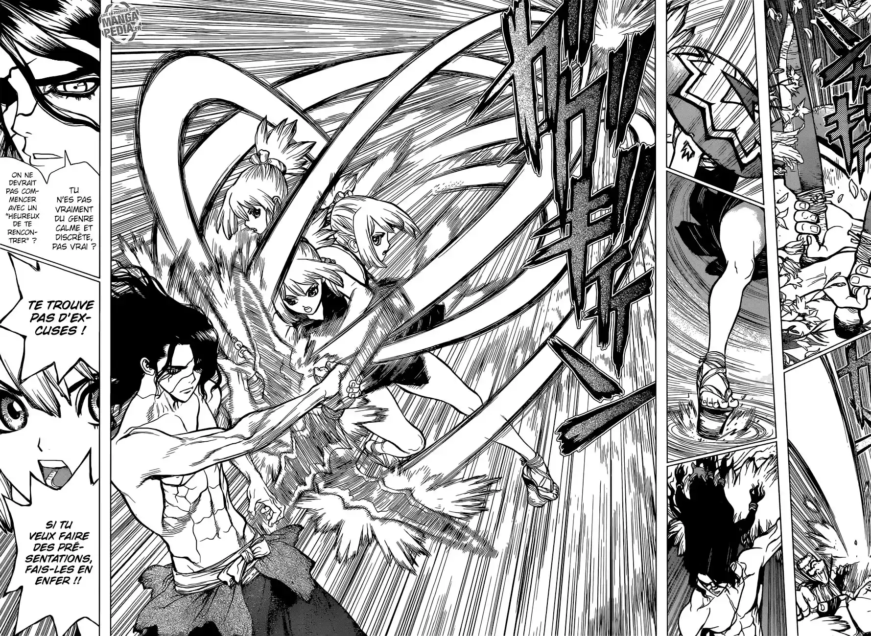 Read Dr. Stone FR Manga Online