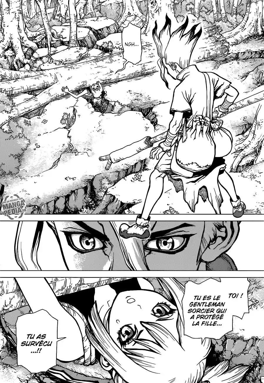 Read Dr. Stone FR Manga Online