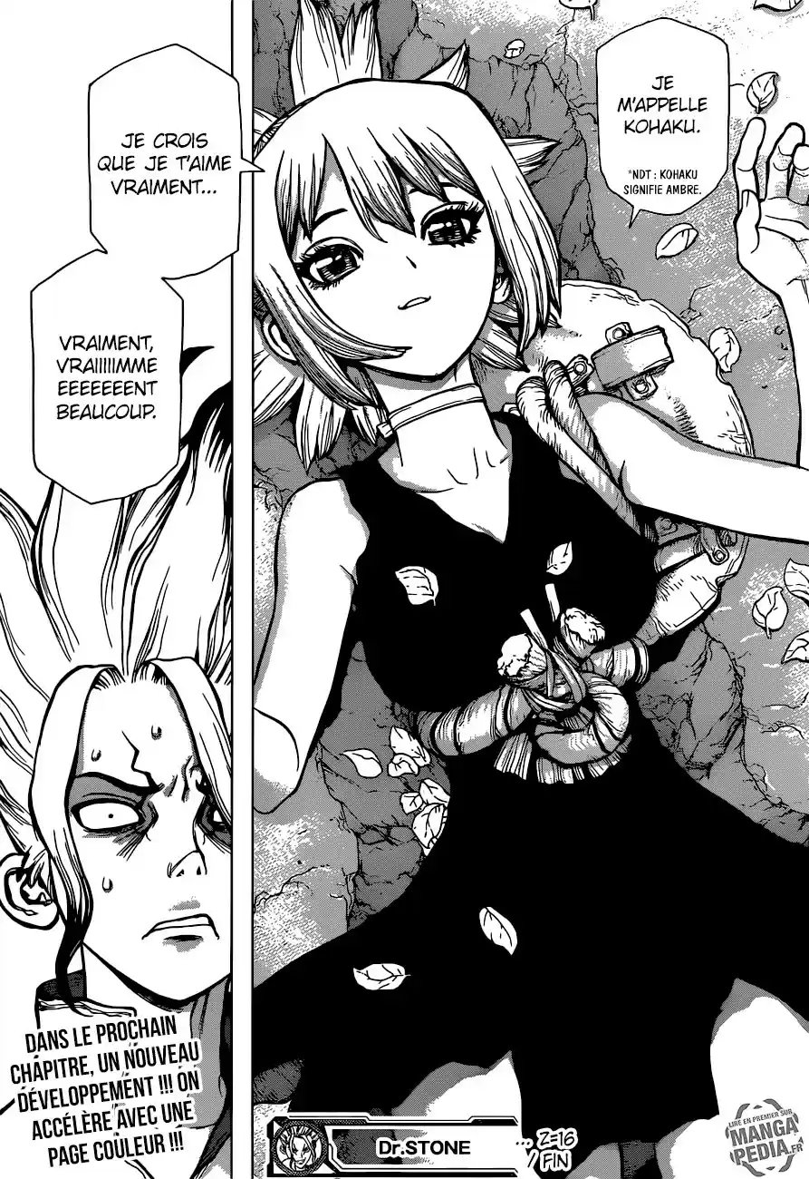 Read Dr. Stone FR Manga Online