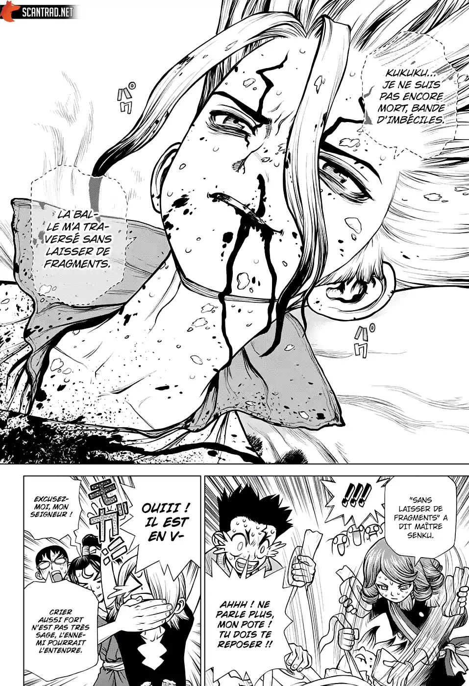 Read Dr. Stone FR Manga Online