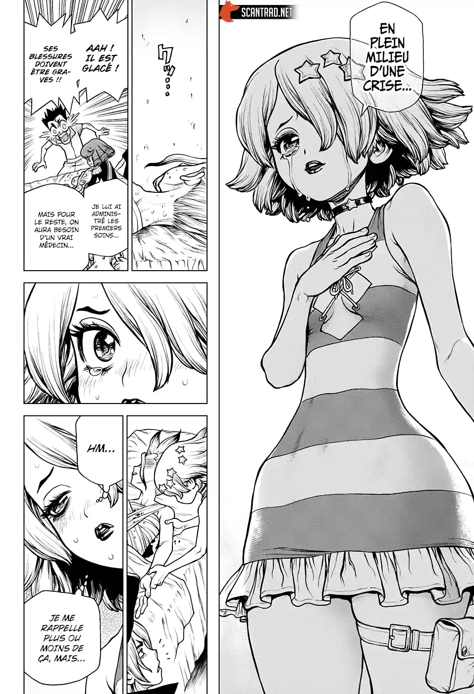Read Dr. Stone FR Manga Online