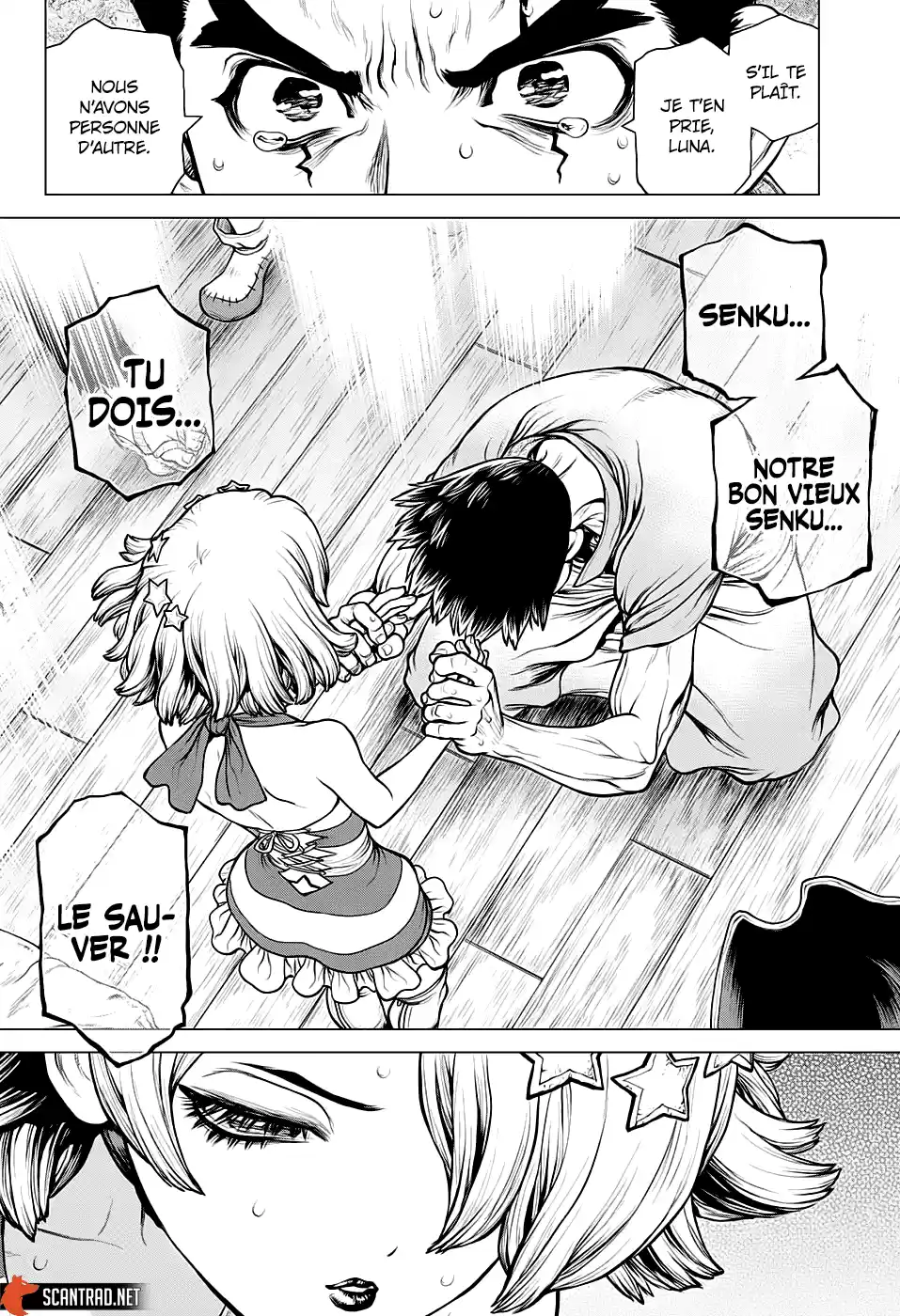 Read Dr. Stone FR Manga Online