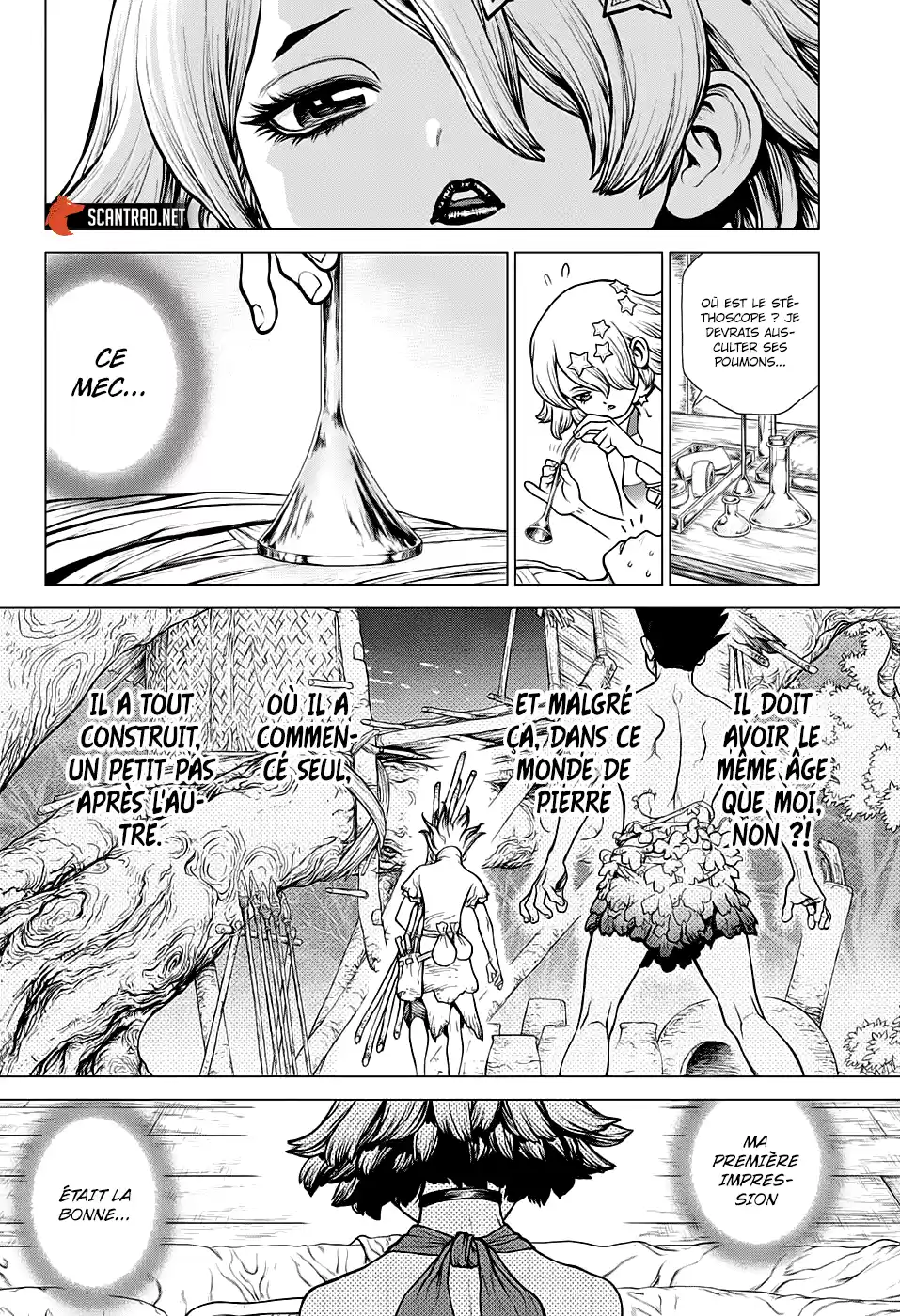 Read Dr. Stone FR Manga Online