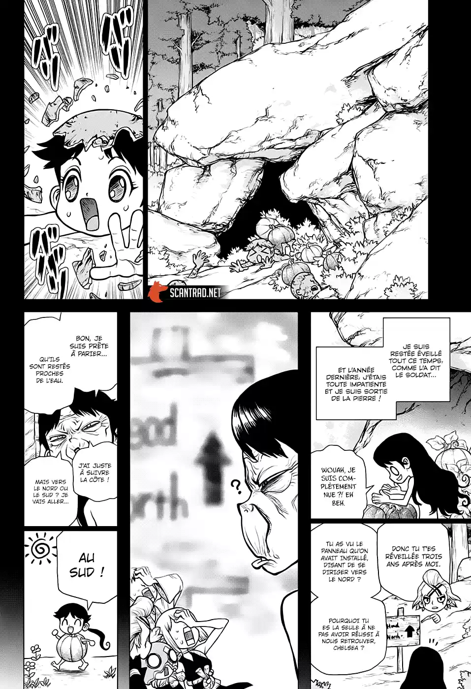 Read Dr. Stone FR Manga Online