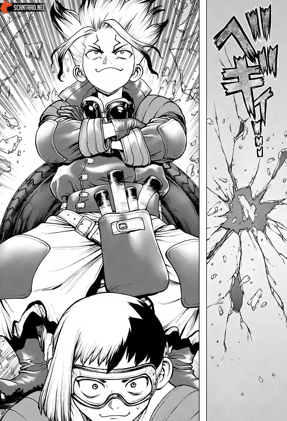 Read Dr. Stone FR Manga Online
