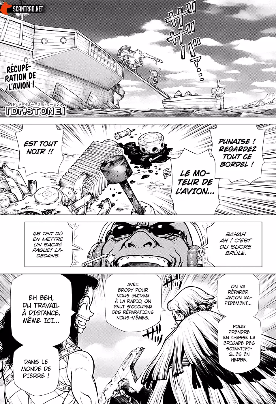 Read Dr. Stone FR Manga Online