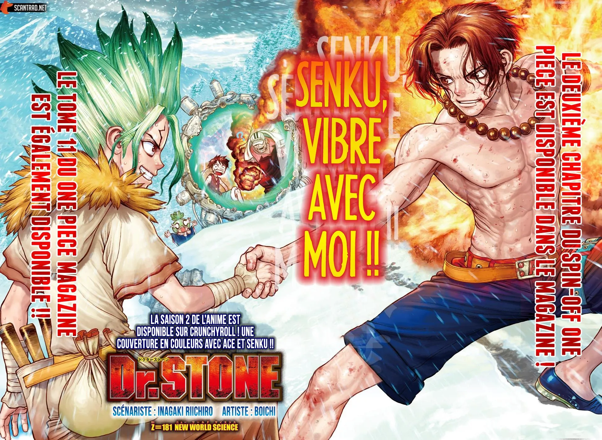 Read Dr. Stone FR Manga Online