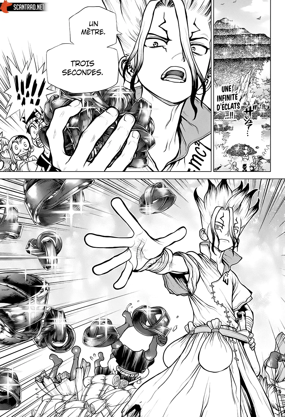 Read Dr. Stone FR Manga Online