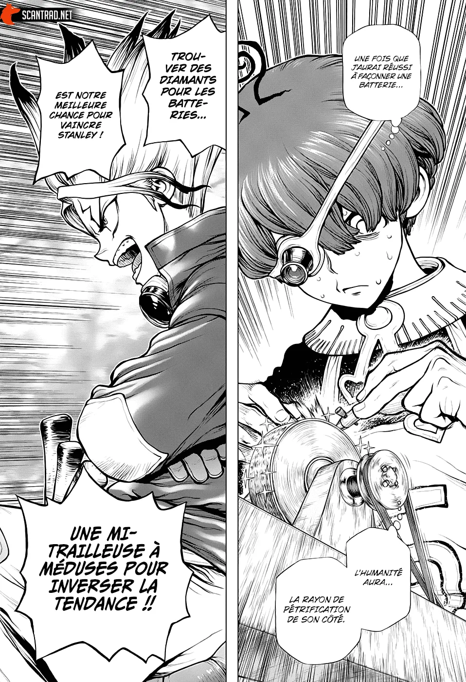Read Dr. Stone FR Manga Online