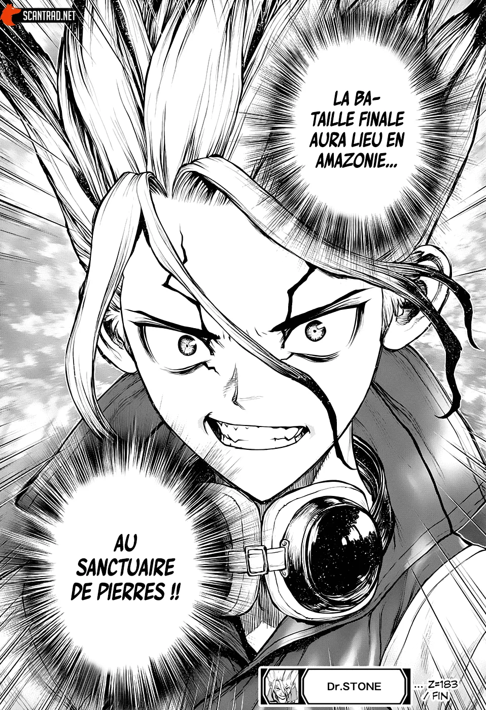 Read Dr. Stone FR Manga Online