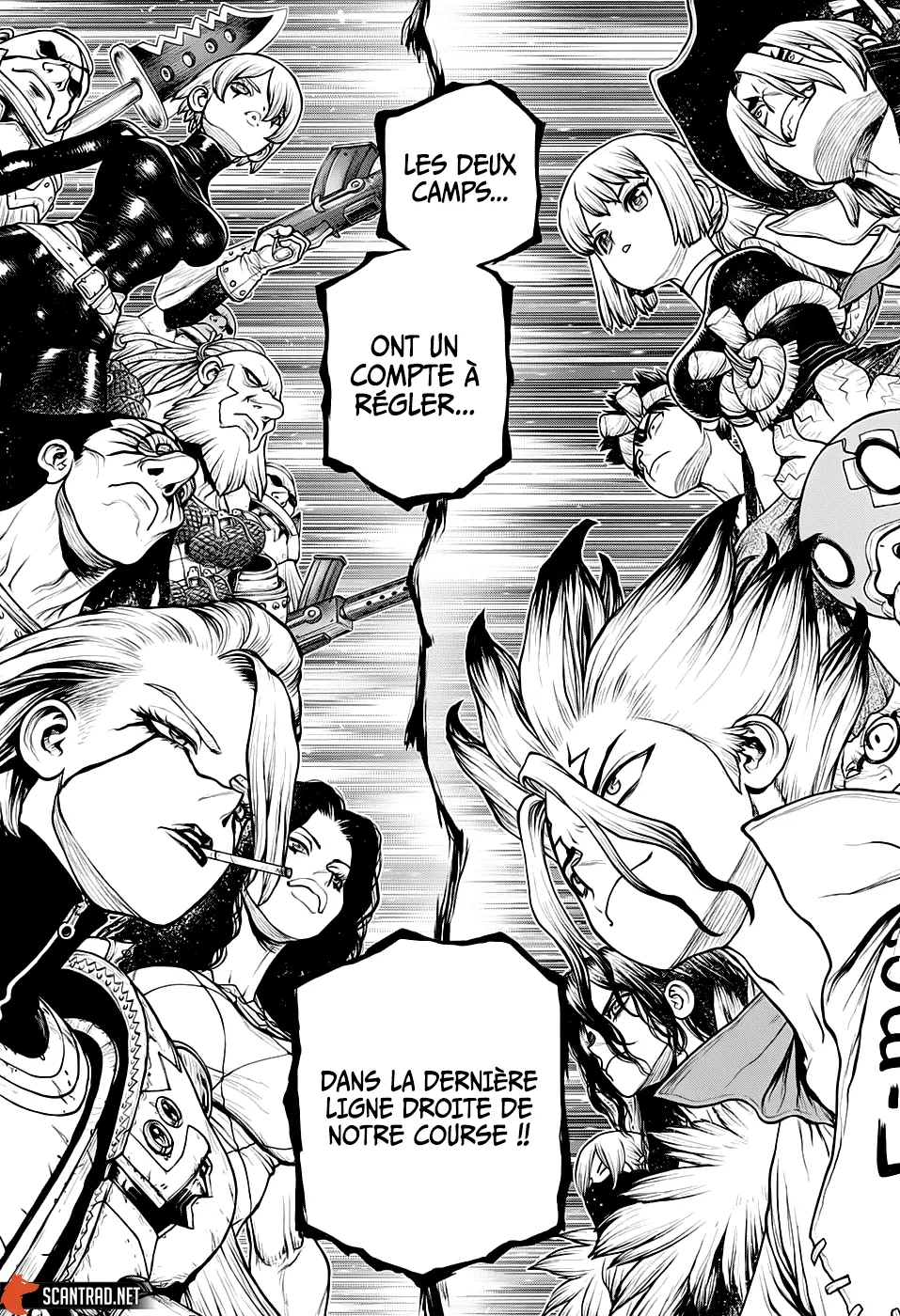 Read Dr. Stone FR Manga Online
