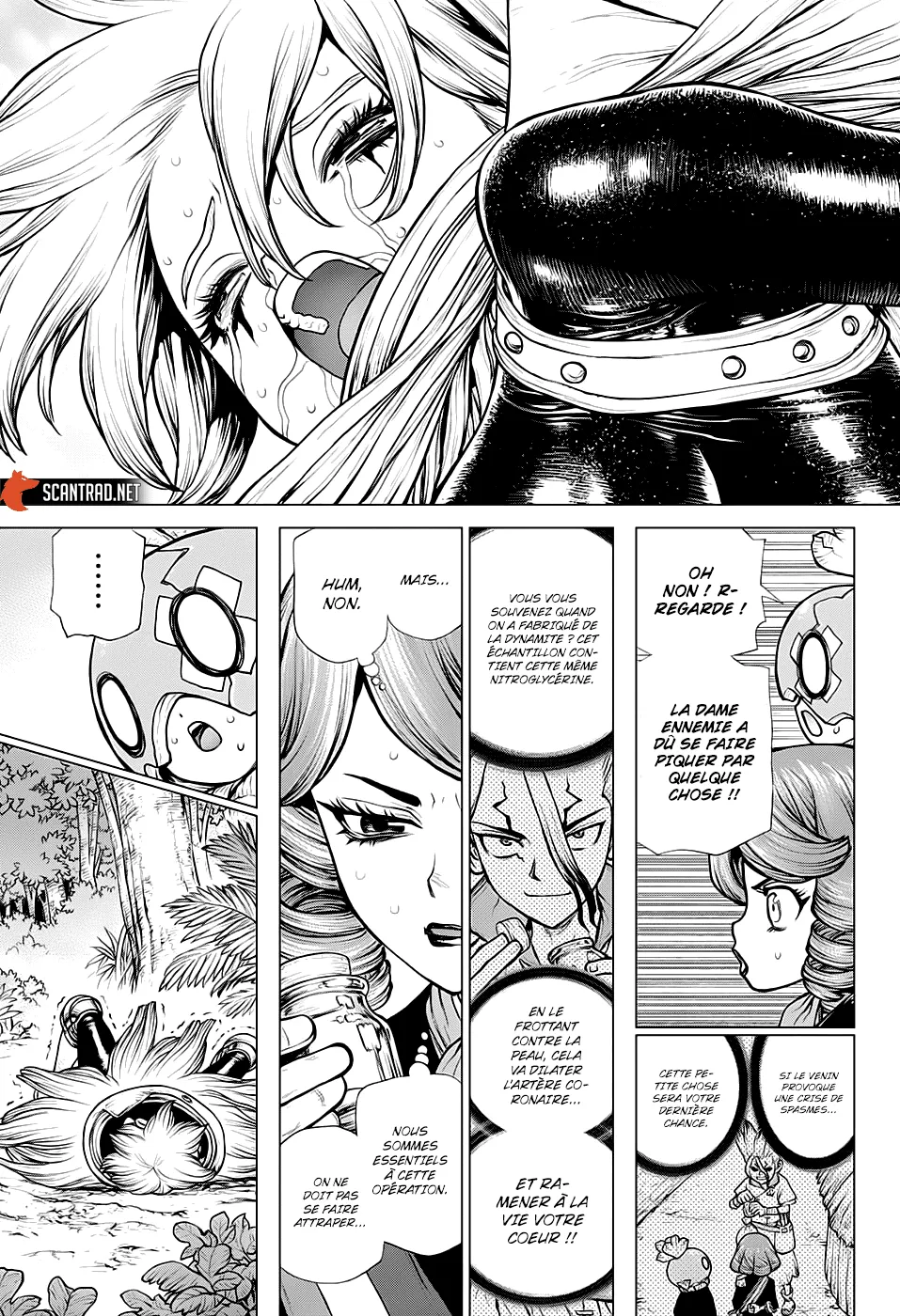 Read Dr. Stone FR Manga Online