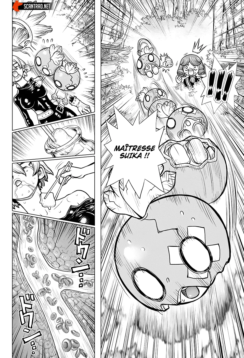 Read Dr. Stone FR Manga Online