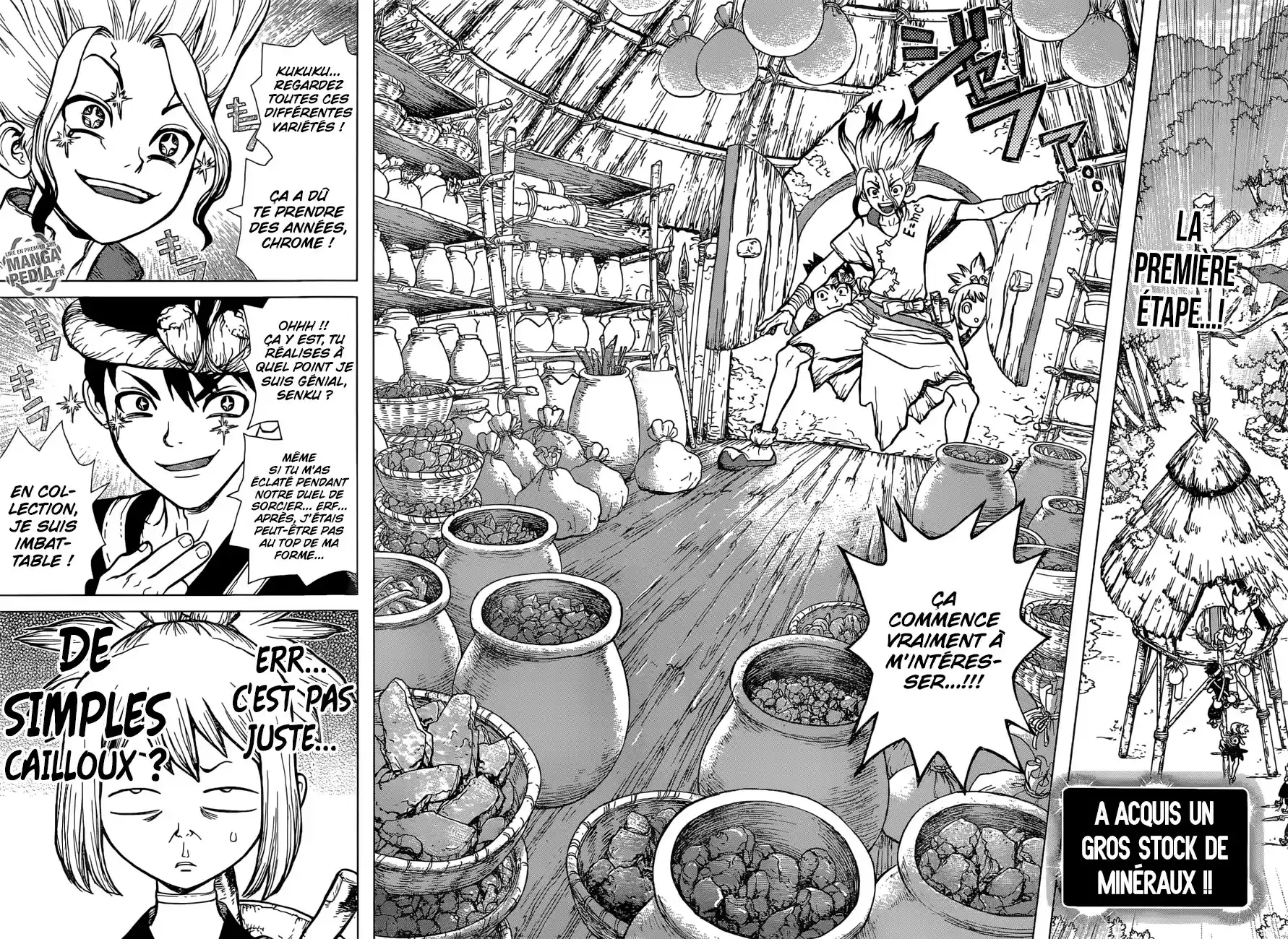 Read Dr. Stone FR Manga Online