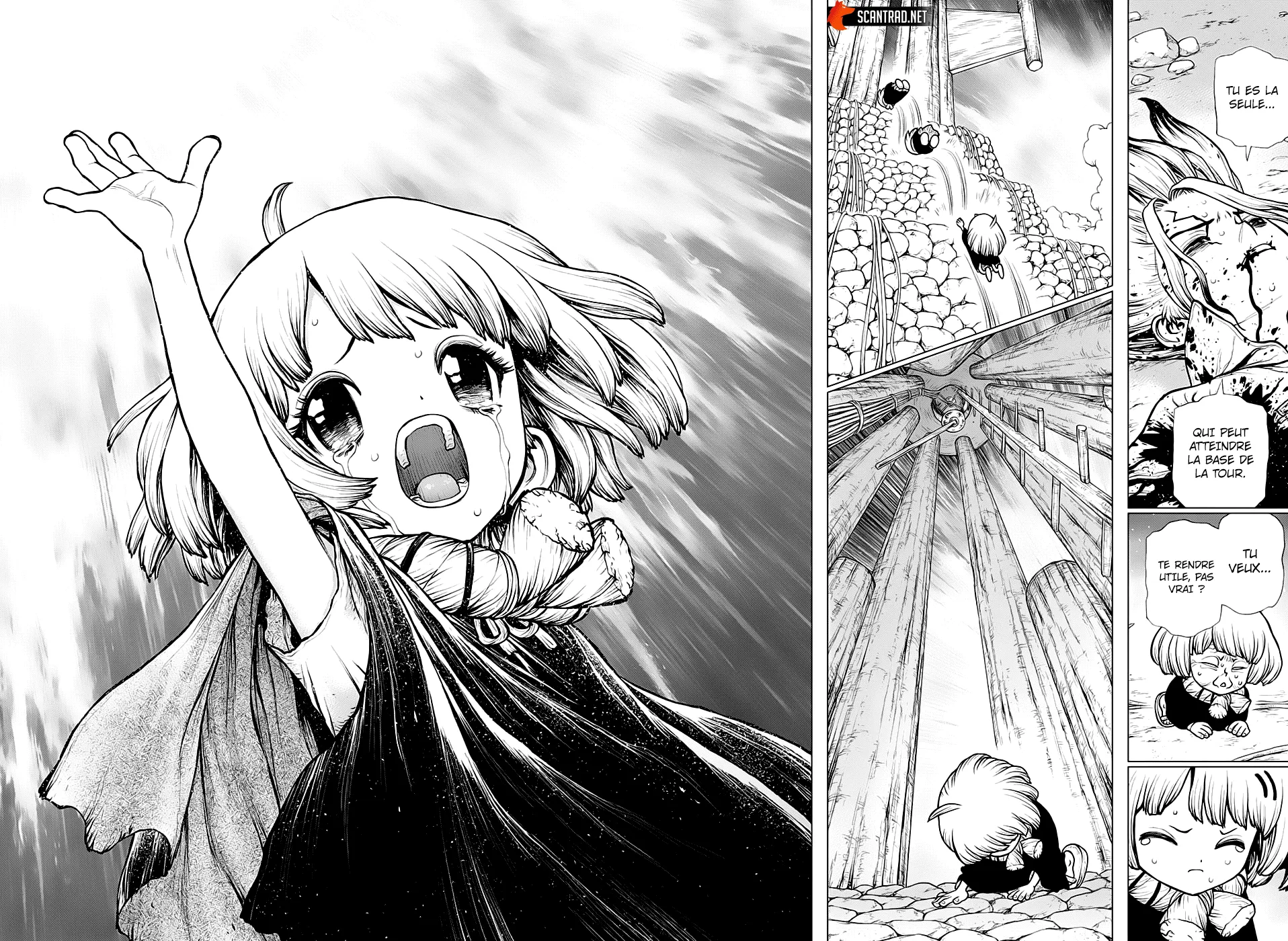 Read Dr. Stone FR Manga Online