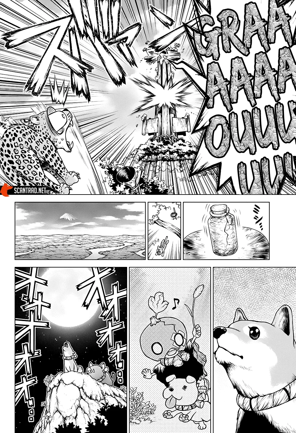 Read Dr. Stone FR Manga Online