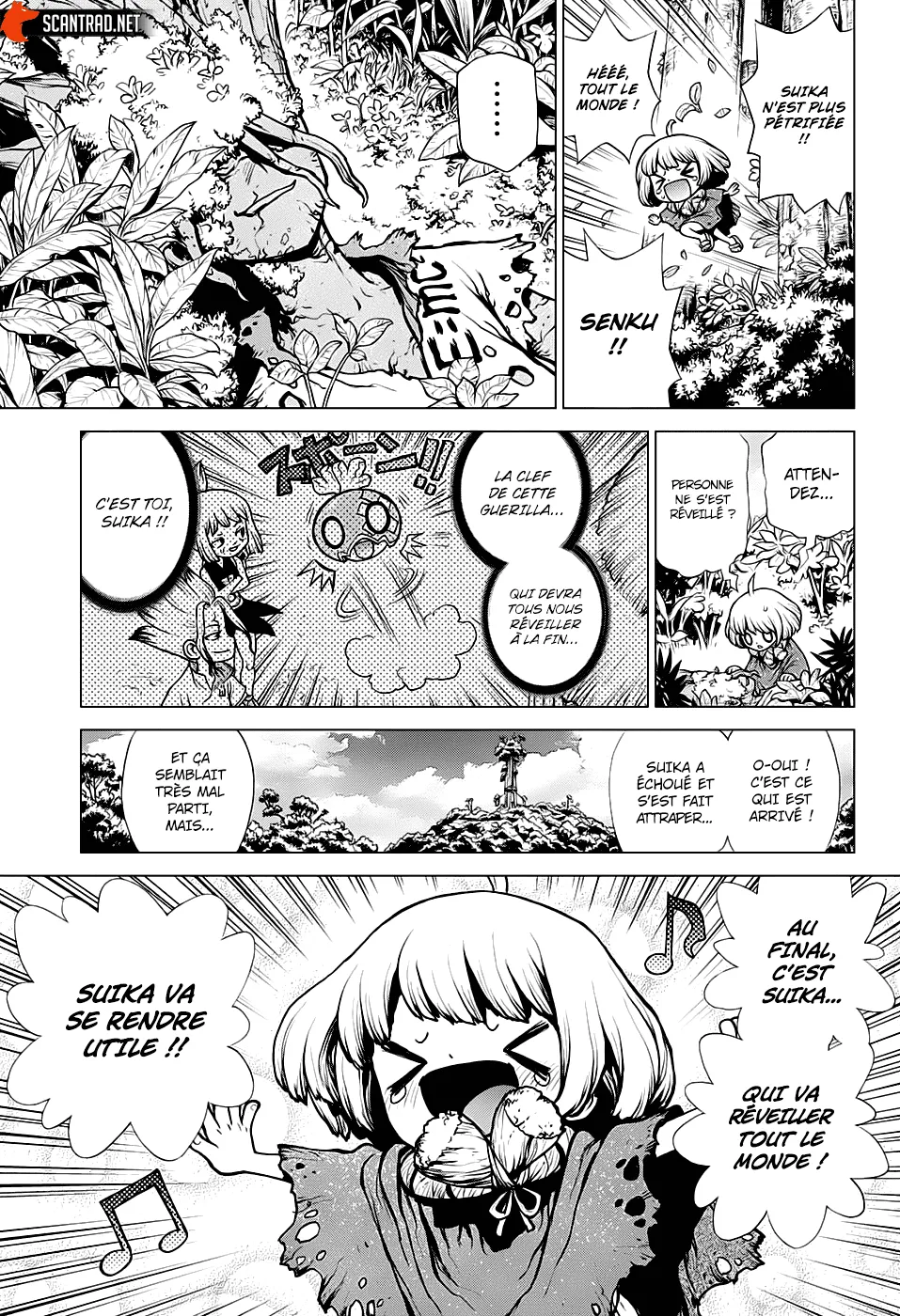 Read Dr. Stone FR Manga Online