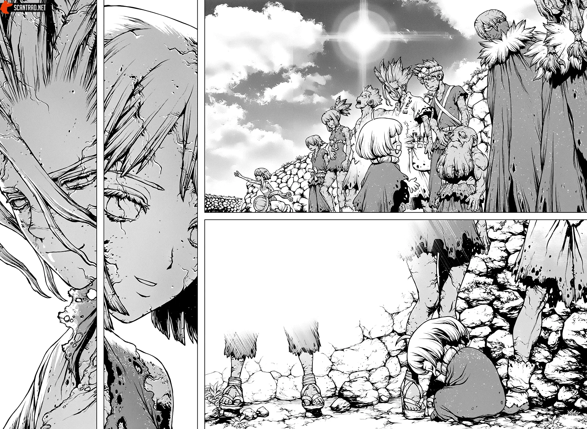 Read Dr. Stone FR Manga Online
