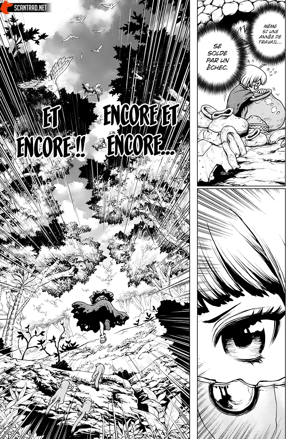 Read Dr. Stone FR Manga Online