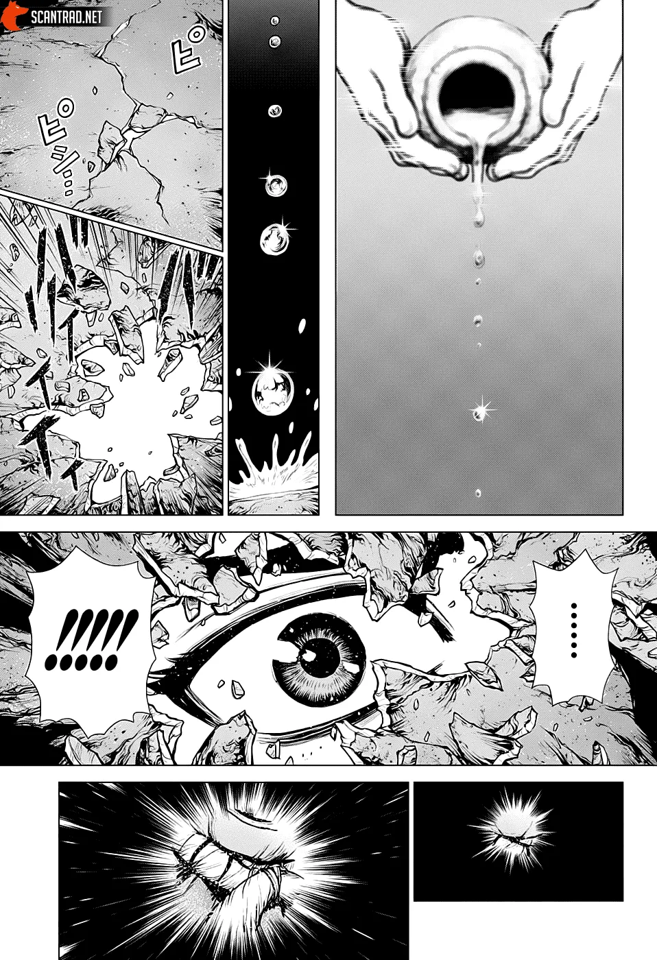 Read Dr. Stone FR Manga Online