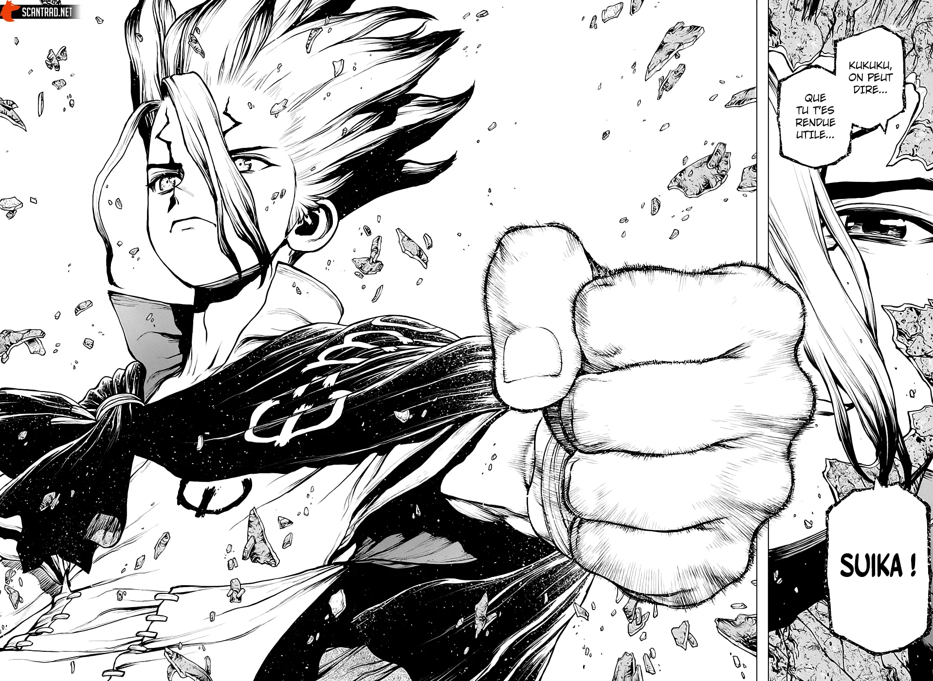 Read Dr. Stone FR Manga Online