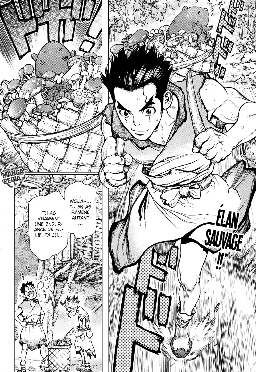 Read Dr. Stone FR Manga Online