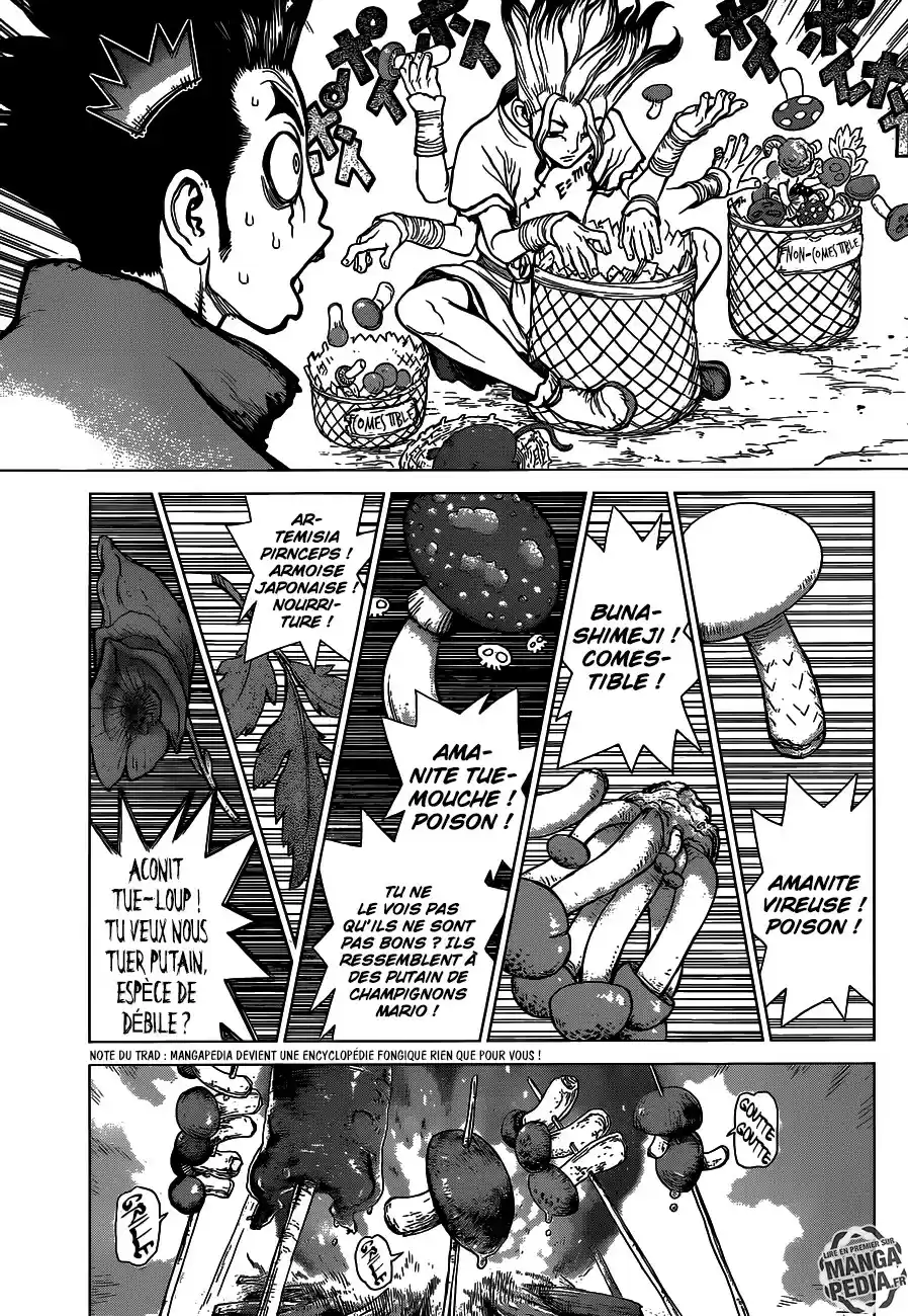 Read Dr. Stone FR Manga Online