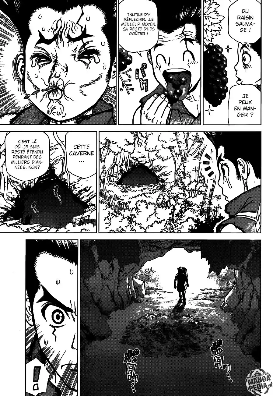 Read Dr. Stone FR Manga Online