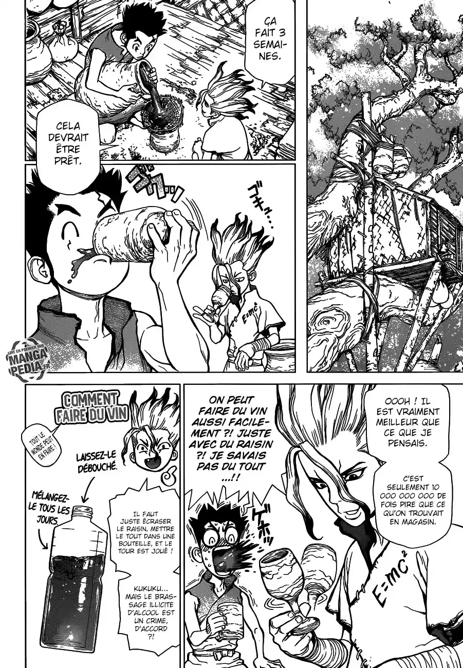 Read Dr. Stone FR Manga Online