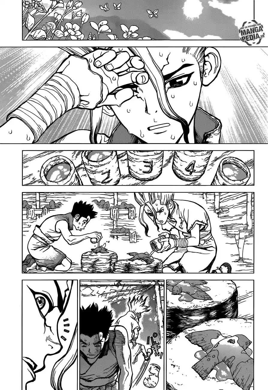 Read Dr. Stone FR Manga Online