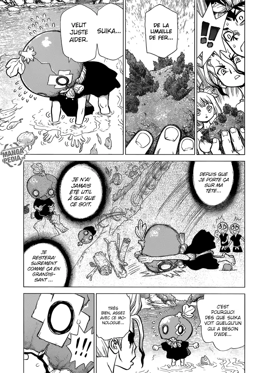 Read Dr. Stone FR Manga Online