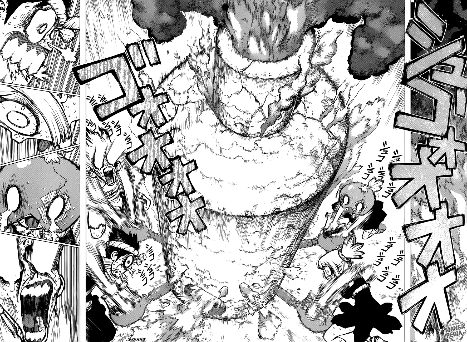 Read Dr. Stone FR Manga Online
