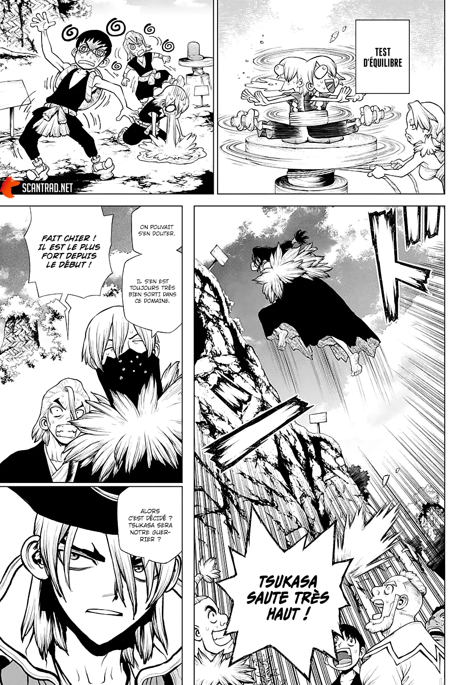 Read Dr. Stone FR Manga Online